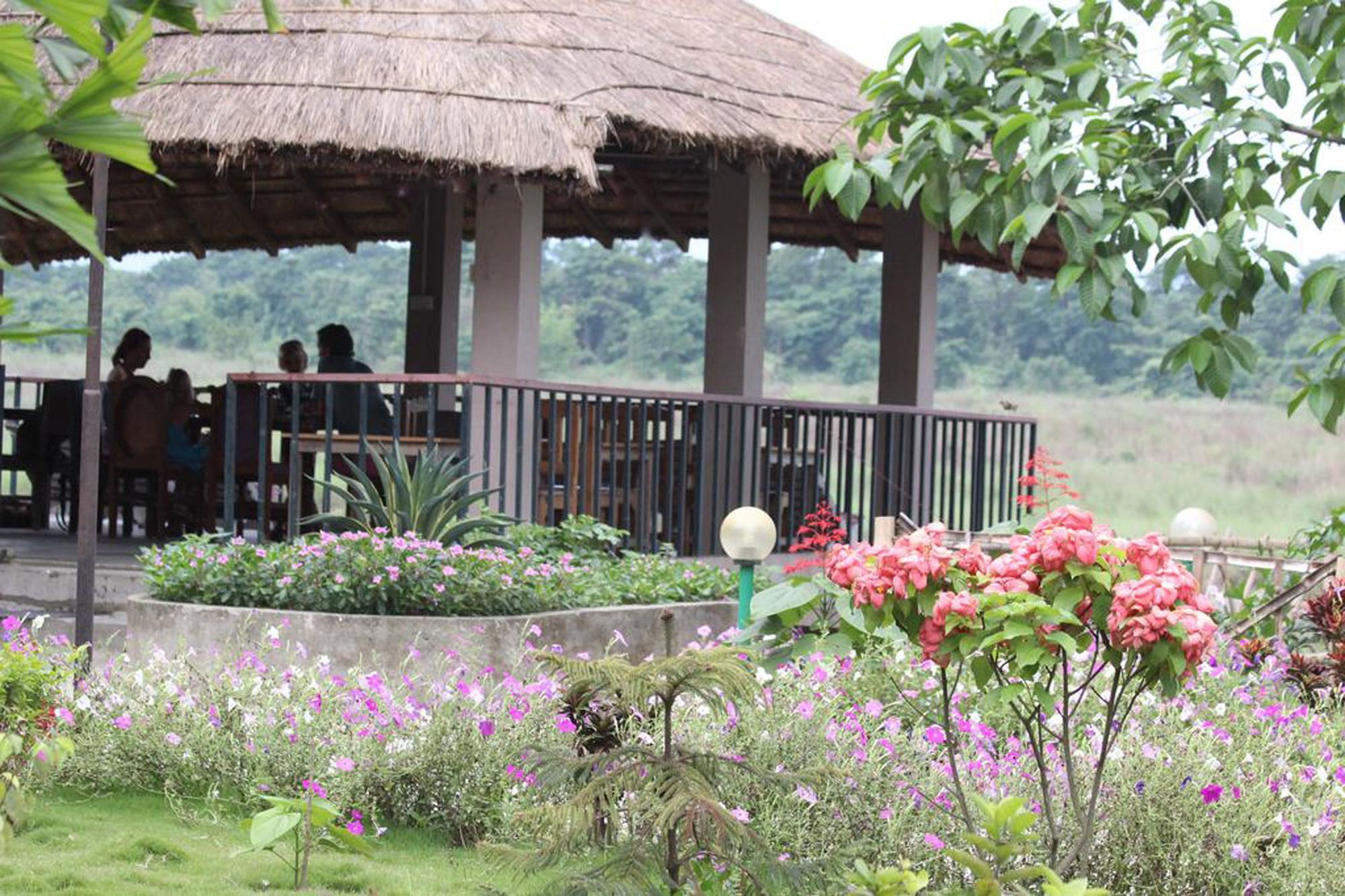 จังเกิ้ลซันเซตแคมป์ Hotel โซราฮา ภายนอก รูปภาพ